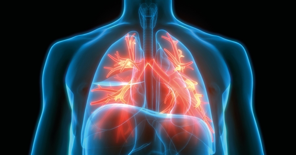 À LA DEMANDE | GC×GC-HR-TOFMS for untargeted screening of Breathomics